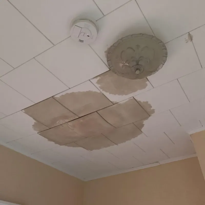 Ceiling Water Damage Repair in West Menlo Park, CA